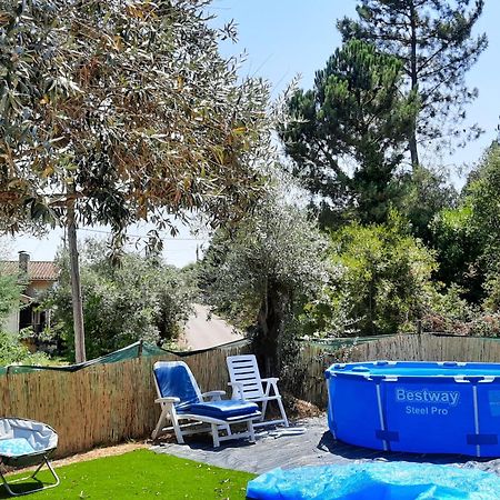 Adore Portugal Bungalow Natureza & Vista De Serra Lousã Екстериор снимка