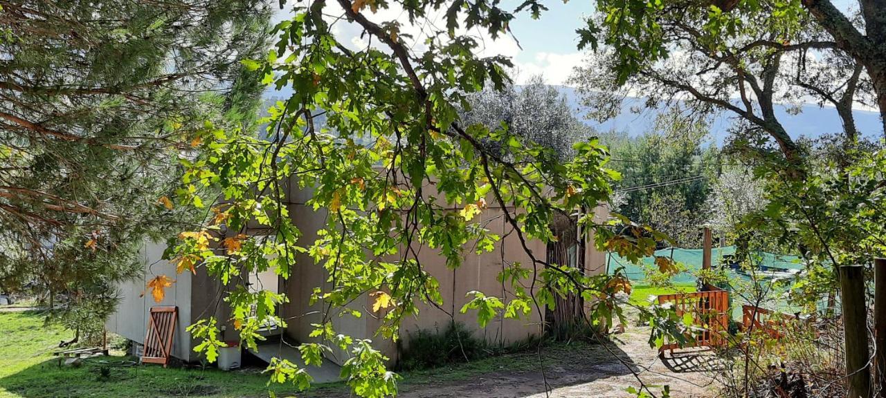 Adore Portugal Bungalow Natureza & Vista De Serra Lousã Екстериор снимка