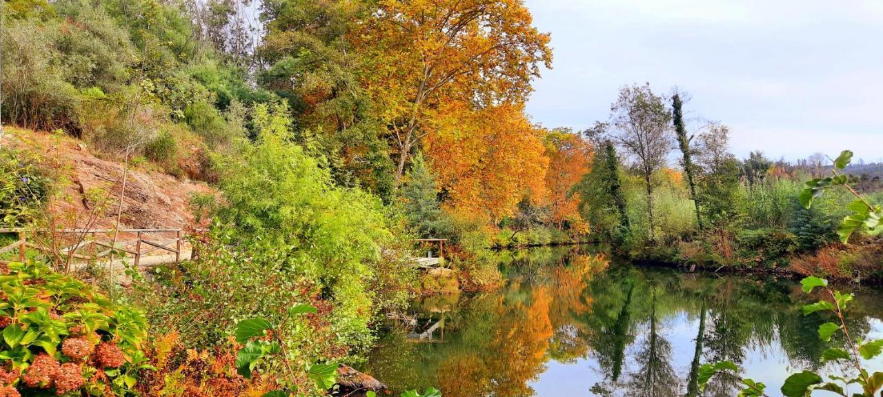 Adore Portugal Bungalow Natureza & Vista De Serra Lousã Екстериор снимка