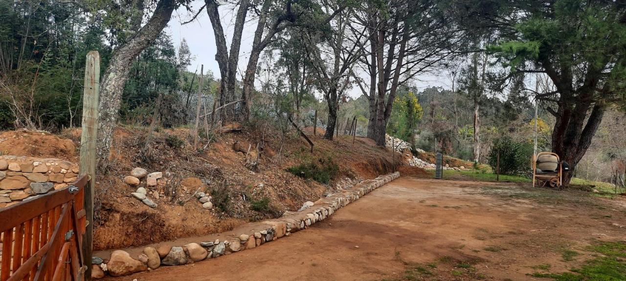 Adore Portugal Bungalow Natureza & Vista De Serra Lousã Екстериор снимка